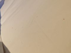 -唐风温泉