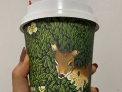 -六月花园咖啡馆(中关村东路店)