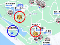 -塔子山公园