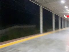 -岳阳东站