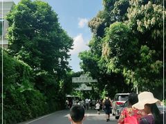 -青青世界