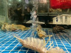 -阳江餐厅·30年老字号·粤菜海鲜大排档
