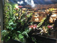 -森味薪火烧•烧鸟居酒屋•日本料理(望京店)