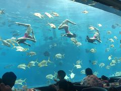 -瑞德姆美人鱼海底演艺主题餐厅(亚龙湾店)
