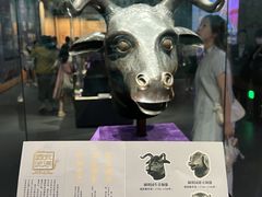 -广西壮族自治区博物馆