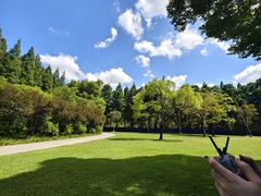 -上海滨江森林公园