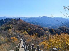 -大岭沟猕猴桃谷风景区