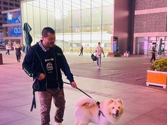-杭州城中香格里拉大酒店