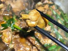 -九道菜有鸡鱼头(石鼓路店)
