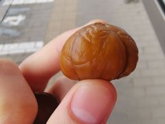 -秋栗香(地安门店)