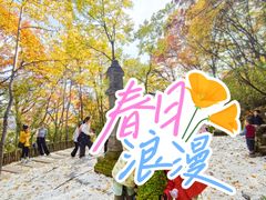 -少华山国家森林公园