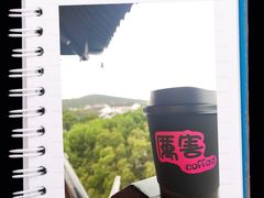 -常熟方塔园