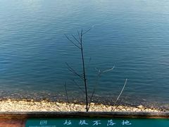 -绿城千岛湖喜来登度假酒店