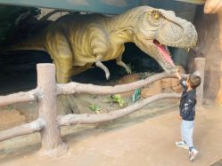 -宝燕乐园(闵行旗舰店)