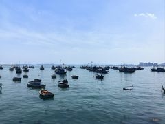 -海源公园