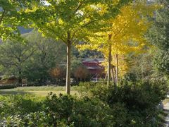 -木兰云雾山