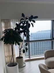 -HEYAN荷妍专业脱毛连锁机构