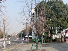 -鸣鹤古镇