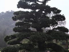 -贵州省植物园