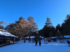 -北海道神宫