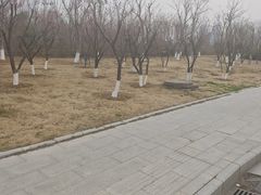 -金银湖国家城市湿地公园