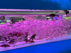 -三旗百汇商品城