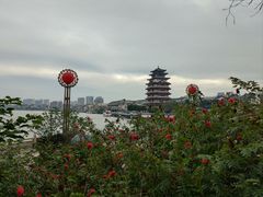-合江楼