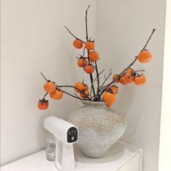 -安那般那皮肤年轻化ANAPANA