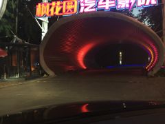 -枫花园汽车电影院(朝阳公园店)