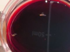 -王红军龙虾(新民路店)