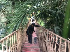 -呀路古热带植物园