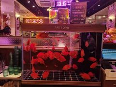 -龙记·香港茶餐厅(海上世界店)
