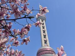 -东方明珠广播电视塔