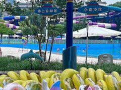 -武汉市青少年宫水上世界