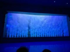 -多彩贵州城极地海洋世界