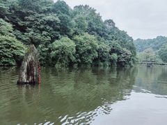 -青城山