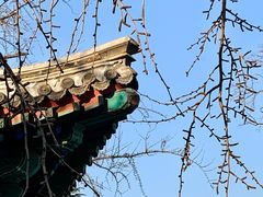 -北京石刻艺术博物馆(五塔寺)