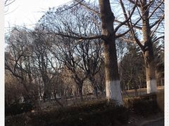 -辽东学院(南校区)