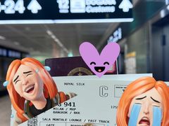 -米兰马尔彭萨国际机场