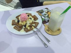 -喵的天空名猫咖啡馆·撸猫·猫舍·用品