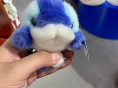 -太平洋海底世界