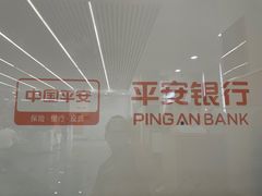 -平安银行(大兴支行)