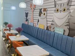 -Tomado绿色烘焙(大尧三路店)