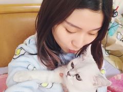 -纳吉亚猫专科动物医院·北北分院
