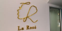 -La Rose·轻奢皮肤管理
