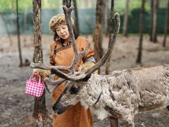 -北极村旅游风景区