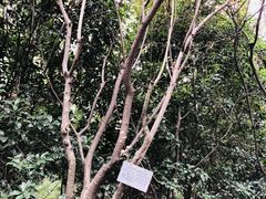 -瀛洲公园
