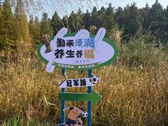 -溱湖国家湿地公园