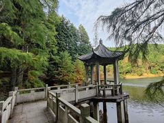 -四明山国家森林公园