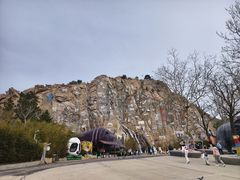 -西霞口神雕山野生动物世界